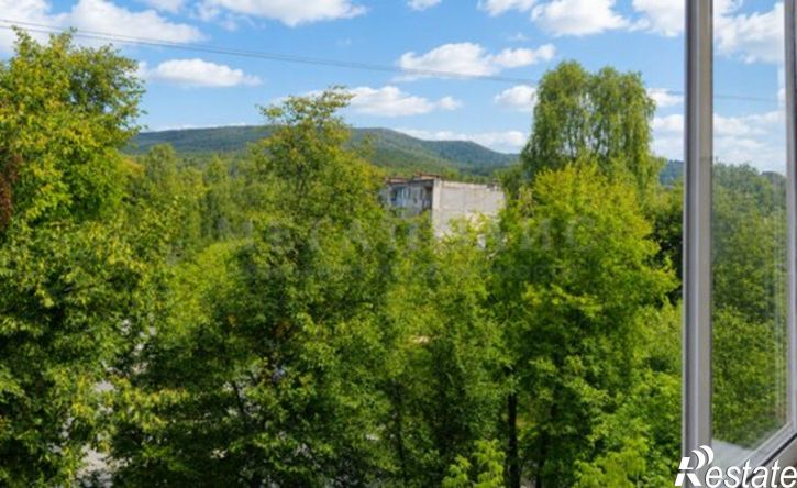 1-комн квартира ул Циолковского, 10,  д. 10